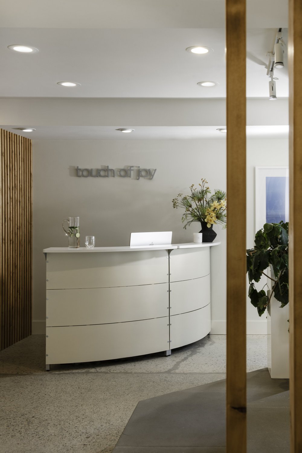 Skin Wellness Boutique — Curved reception counter seen between vertical timber slats