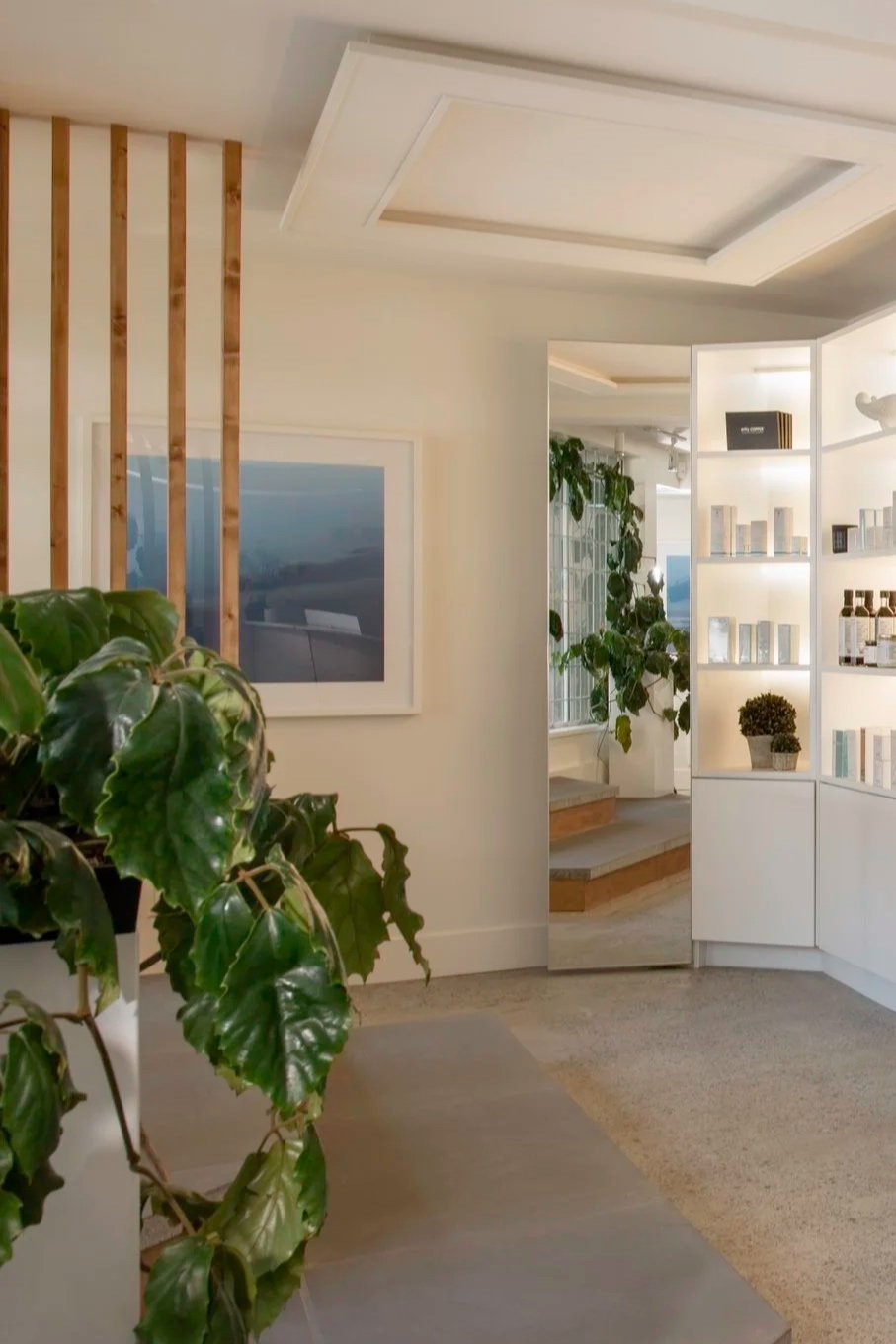 Skin Wellness Boutique — Product display and planted reception corner